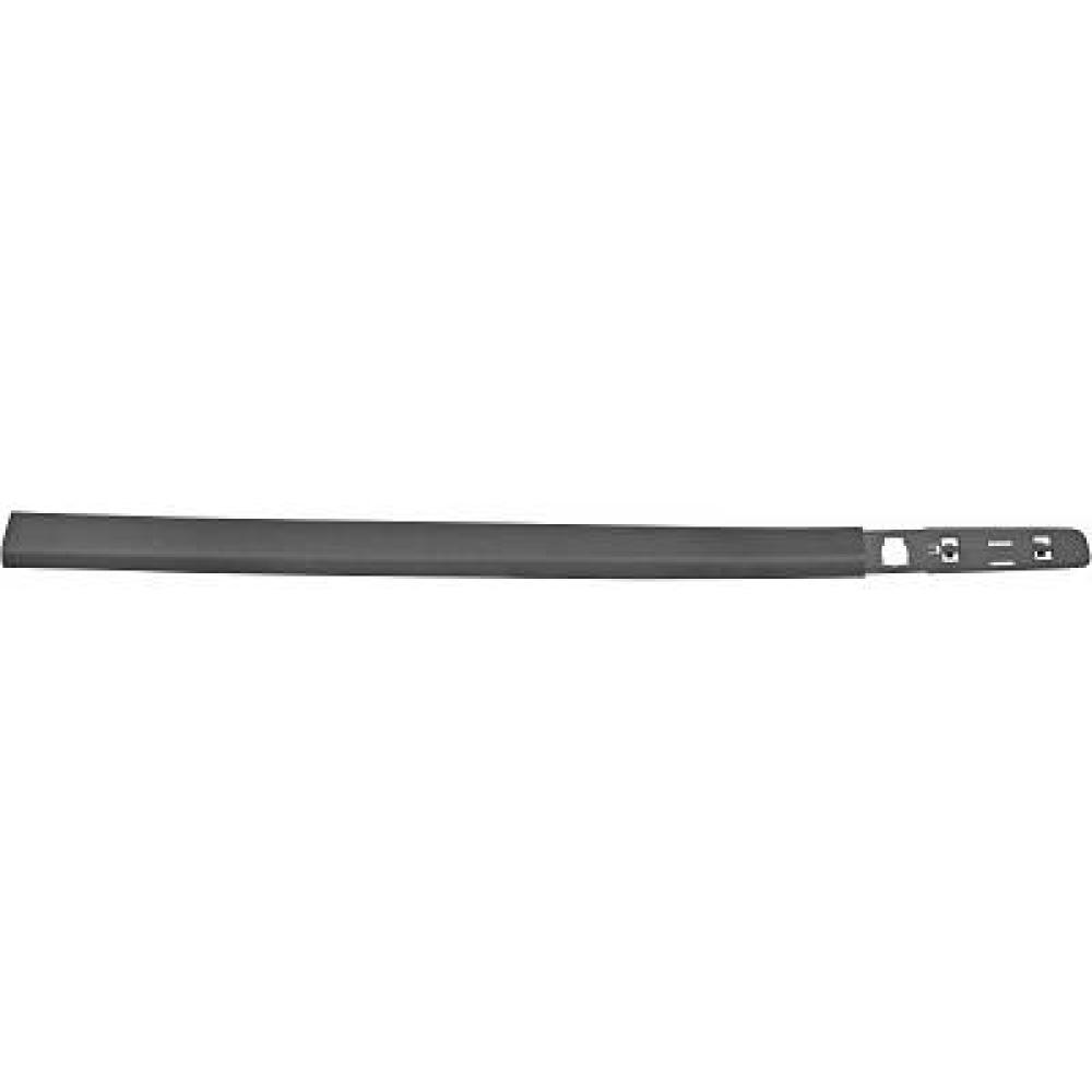 Baguette et bande protectrice, porte avant gauche Renault Clio 05-09
