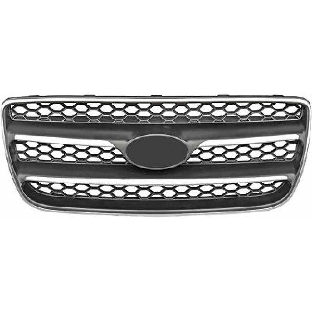 Grille de radiateur Hyundai Santa Fe 06-09